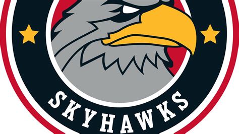 skyhawk atlanta hawks